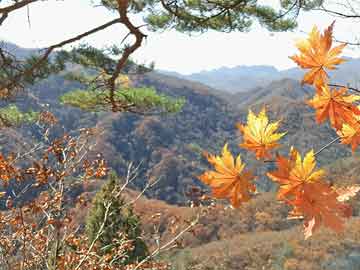打胎药在网上购买安全吗城南医院有没有打胎药（城南医院有哪些科室）